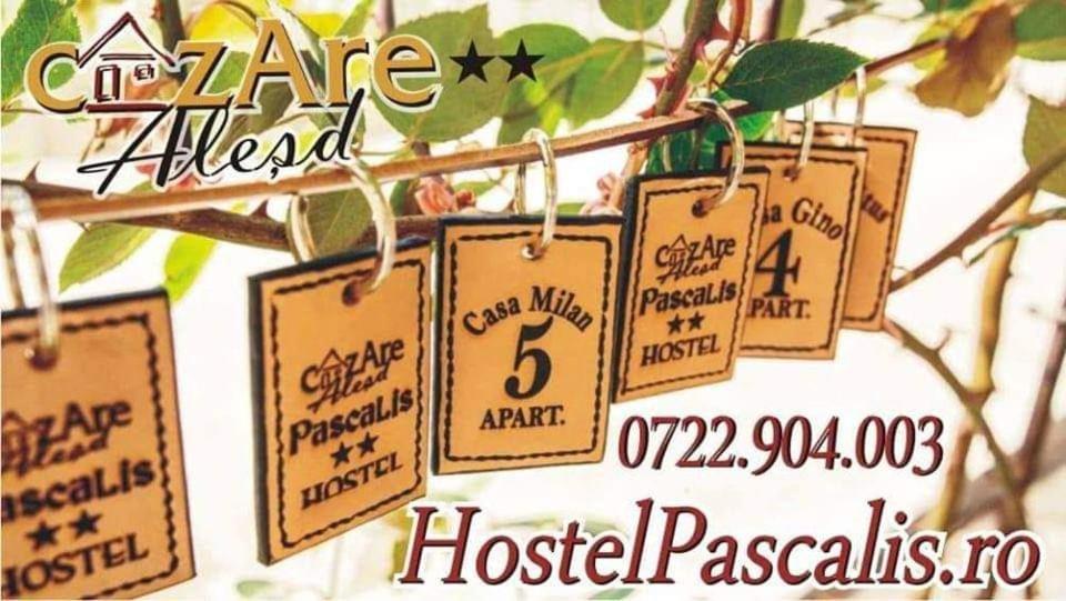 Hostel Pascalis Alesd Dış mekan fotoğraf