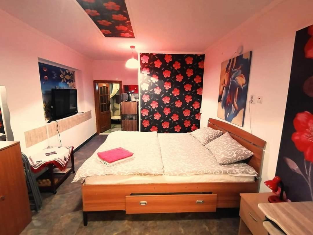 Hostel Pascalis Alesd Oda fotoğraf